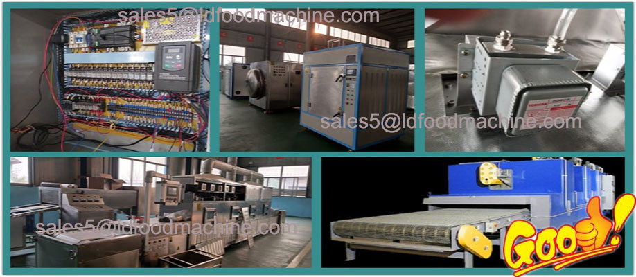 Stainless steel professional continuous microwave carrageenan powder drying equipment