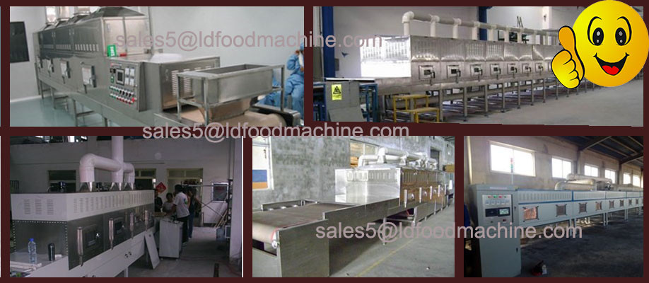 Large Capacity Vegetables and fruits drying equipment