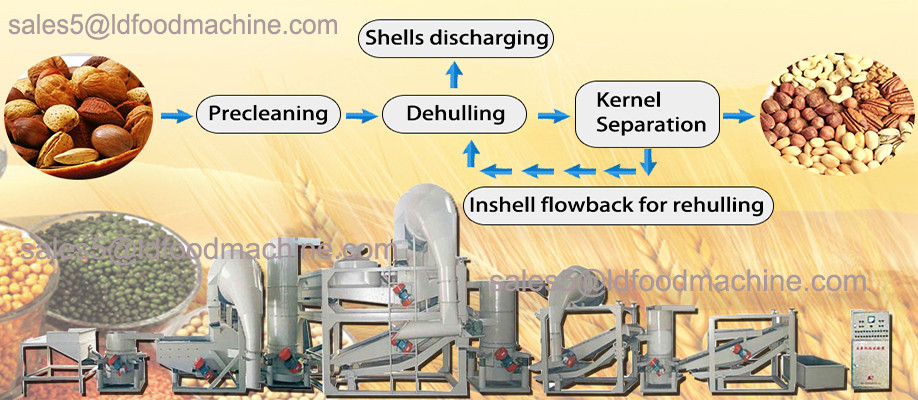 Crude Sunflower Oil Refining