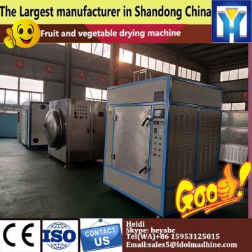 600kg-1ton per time Commercial fruits apples mongo slice drying machine