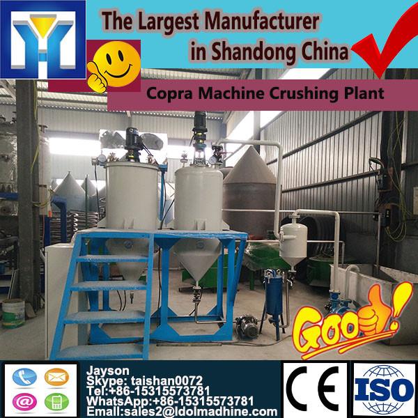 Alibaba China Manufacturer Supplies Coconut Oil Press Machine #1 image
