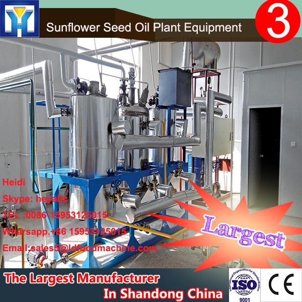 10-30TPD soybean peanut rice bran palm oil refining machine manufacturer #1 image