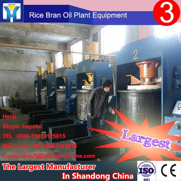 High Quality Cold Pressed Rice Bran Oil Press Machinery 500T #1 image