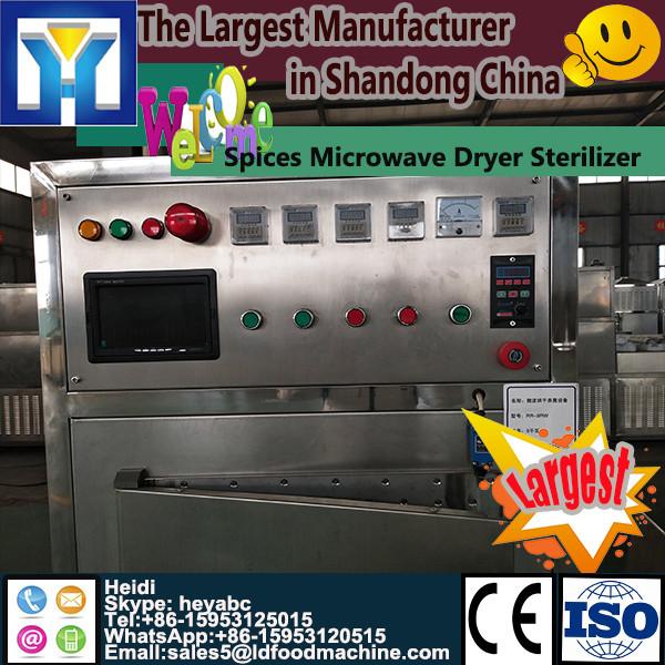 Stainless steel tunnel continuous microwave drying preserved pork oven #1 image