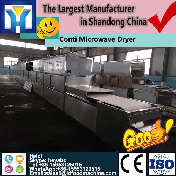 New design conveyor type chili /pepper seasoning microwave sterilization/sterilizing machine #1 image