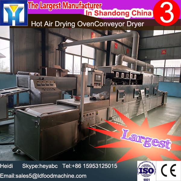industrial forced air circulation drying machine for frozen fruit #1 image