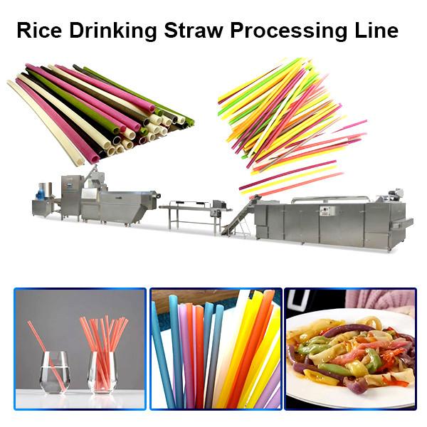 2020 popular automatic industrial long cut pasta rice macaroni rice drinking straw making machine #1 image