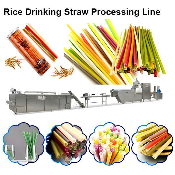 Edible Rice / Pasta / Wheat Disposable Drinking Straw processing line / making machine #3 image