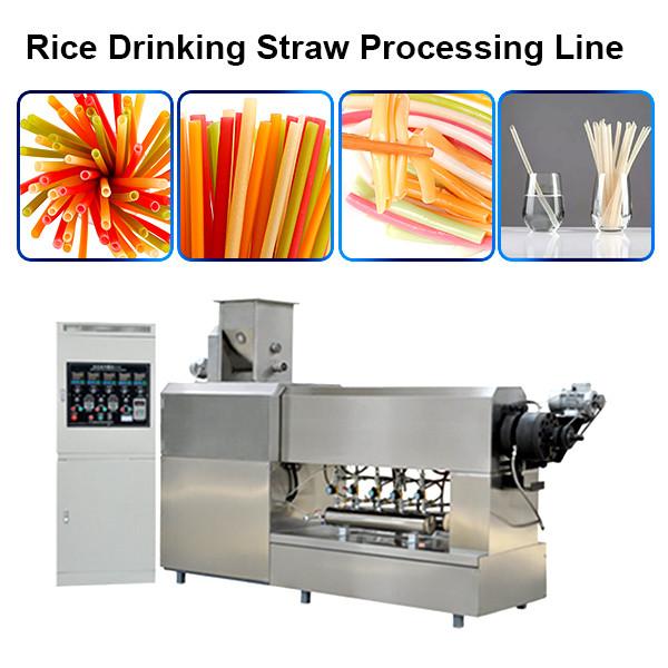 Eo-Friendly Industrial Biodegradable Drinking Straw Making and Cutting Machine Extruder Production Line #1 image