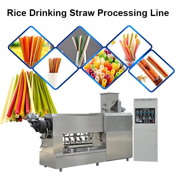 Chinese Manufacturer Industrial Biodegradable Edible Ecoware Rice Tapioca Drinking Straw Maker Making Machine #2 image