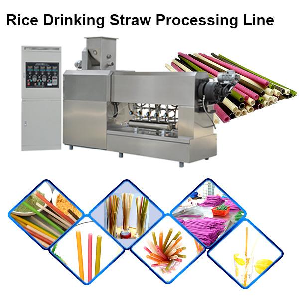 Eo-Friendly Industrial Biodegradable Drinking Straw Making and Cutting Machine Extruder Production Line #3 image