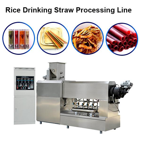 Edible Rice / Pasta / Wheat Disposable Drinking Straw processing line / making machine #2 image