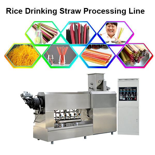 Automatic Eco Friendly Materials Edible Drink Red Biodegradable Straw Machine Extruder Production Line #1 image