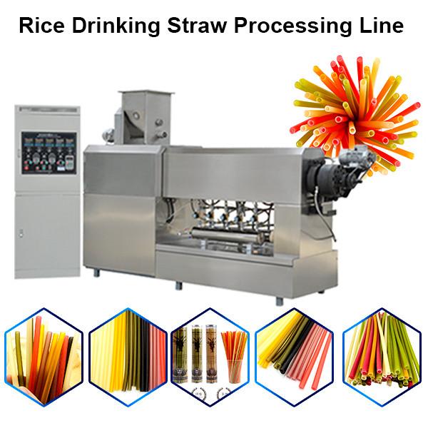 2020 popular automatic industrial long cut pasta rice macaroni rice drinking straw making machine #3 image