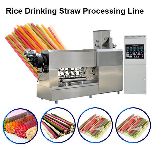 Edible Rice / Pasta / Wheat Disposable Drinking Straw processing line / making machine #1 image