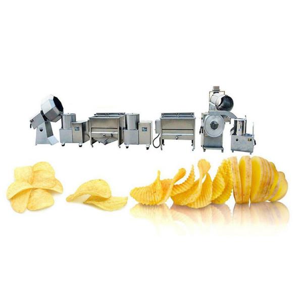 Potato Chips Making Equipment Small Steam Heated Water Blanching Machine for Potatoes #2 image